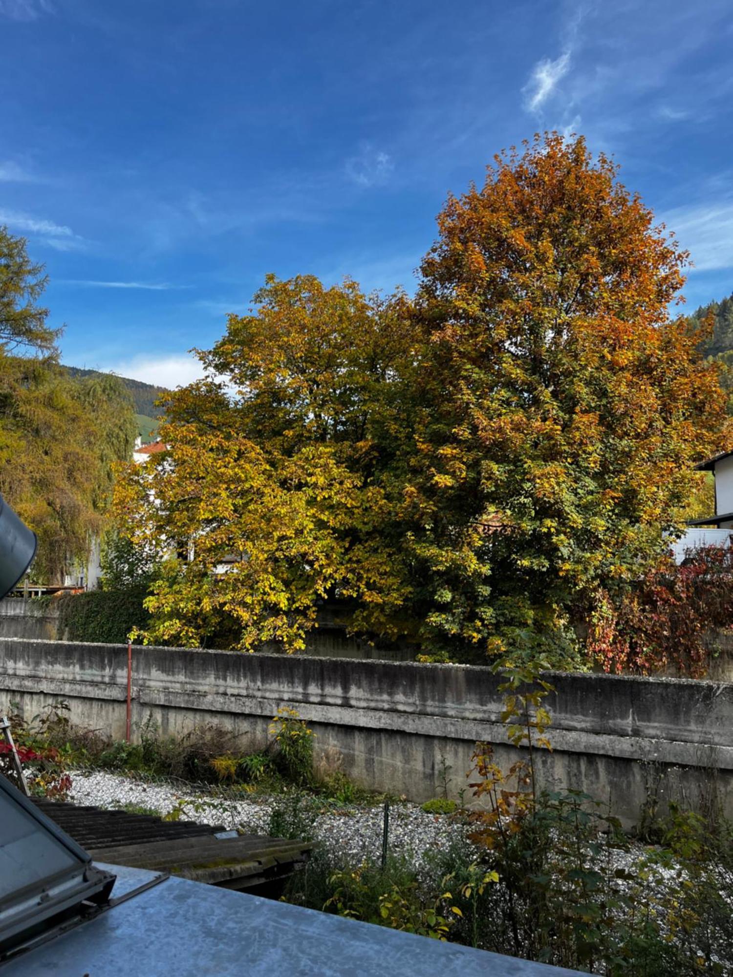 Gasthof Sterzingerhof エクステリア 写真